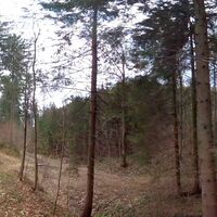 32.6 km Haselgraben