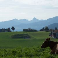 Aussicht nach Schönentannen - ViaJacobi Etappe 12