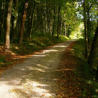 Küßnach Rundweg