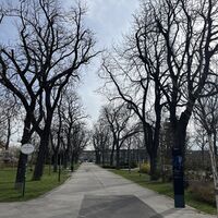 .. und via Arthur Schnitzler-Park zum Bahnhof Baden. Schee woas, und aa ned onstrengend :)