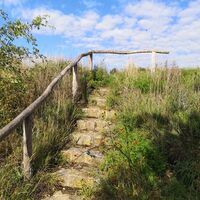Treppe am Rabensberg