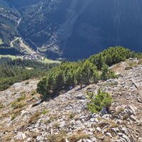 Abstieg in der Latschenzone