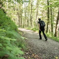 Aufstieg auf die Grabneralm