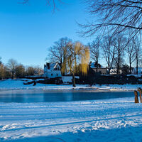 Froschteich im Winter