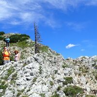 Abstieg zum Hüttenkogel