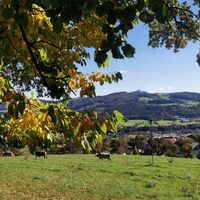 Blick auf Sonntagberg