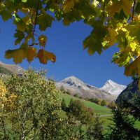 Nationalpark Wanderbus Haltestelle "Abzweigung Schmidhaus"