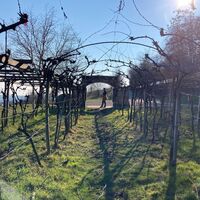 Weinlehrpfad