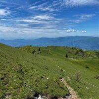 Weg auf dem Grand Colombier