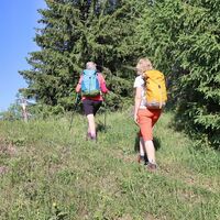 Einstieg Wanderweg