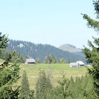 Sohlenalm