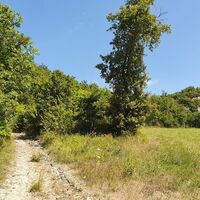 6.6 km Wiese mit Felsen