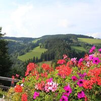 Aussicht Heilbrunn_Naturpark Almenland_Oststeiermark