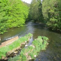 Fischtreppe an der Nagold