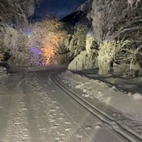 Aufnahme des Winterwanderwegs entlang dem Kunstpfad in Trun in der Nacht.