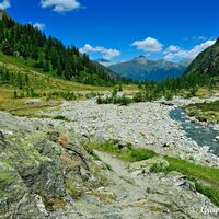 Wildromantisch, die Gradenalm und das Gradenmoss.