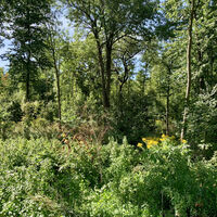 Groß-Schweinbarth, Hohlwegrunde