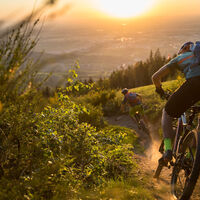 Alprsbacher Schwarzwald-Trail