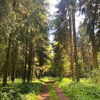 Wanderweg Birgel Hirschbergsattel