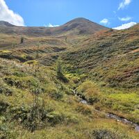 Weg ins Tal