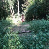 Rastbühel Runde