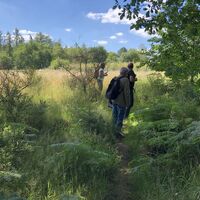 Ennepetal_Auf dem Karstweg_Ölkinghausen