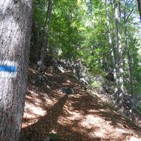 Es geht steil bergauf...