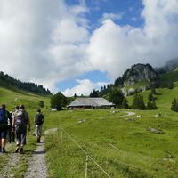 Richtung Alphütte - Breccaschlund