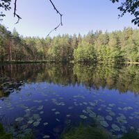 Kylmälampi, Paistjärven Wandergebiet