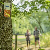 Kocher-Jagst-Trail: Wandern am Jagststeig