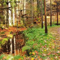 Schleuse mit Holzvögeln