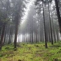Wandern im Naturpark Arnsberger Wald