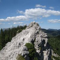 Hinternaßwald - Grenzriegel - Amaißbichl