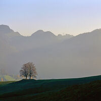 Herbstlandschaft im Jura