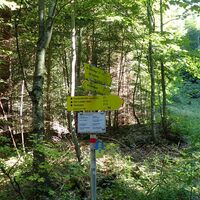 Aufstieg Abzweig Kaisersteig zur Wildfährte