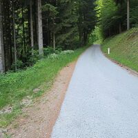 Abstieg/Wiederaufstieg Richtung Mitternestelberg