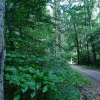 VitalWanderWeg_Obernberg_Salzuflen_CC_BY_SA_Teutoburger_Wald_Kerstin_Paar_IMG_20220612_111042_682.jpg