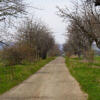 Feldweg Richtung Kreiseverkehr