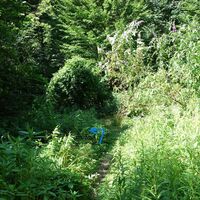 am Weg zur Redlinger Hütte