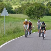 Radfahrgruppe in der Auffahrt