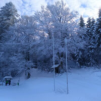 Todtmoos Winterwanderung Von Todtmoos zum Sankt Antoni 6