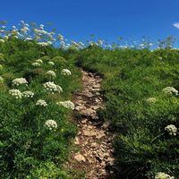 Weg auf der Roche de Chanduraz