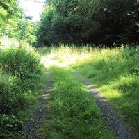 Salzgitter Höhenzug, Wanderweg 29 Wegbeschaffenheit