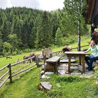 Halterhütte Stubalm