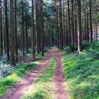 In der Arndorfer Leiten
