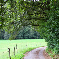 Die Wanderung führt durch liebliche Täler...