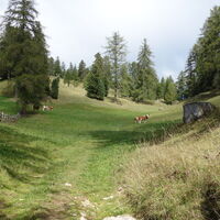 Über die Almwiese zum Zirmersteig