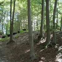 Bereich Schiffsanlegestelle Krumpendorf