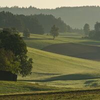Kulturlandschaft bei Arbesbach