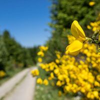 Wandern im Schmallenberger Sauerland